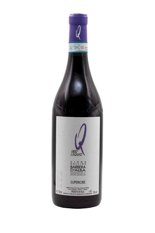 Bottiglia di Barbera d’Alba Superiore Vigna Gallina