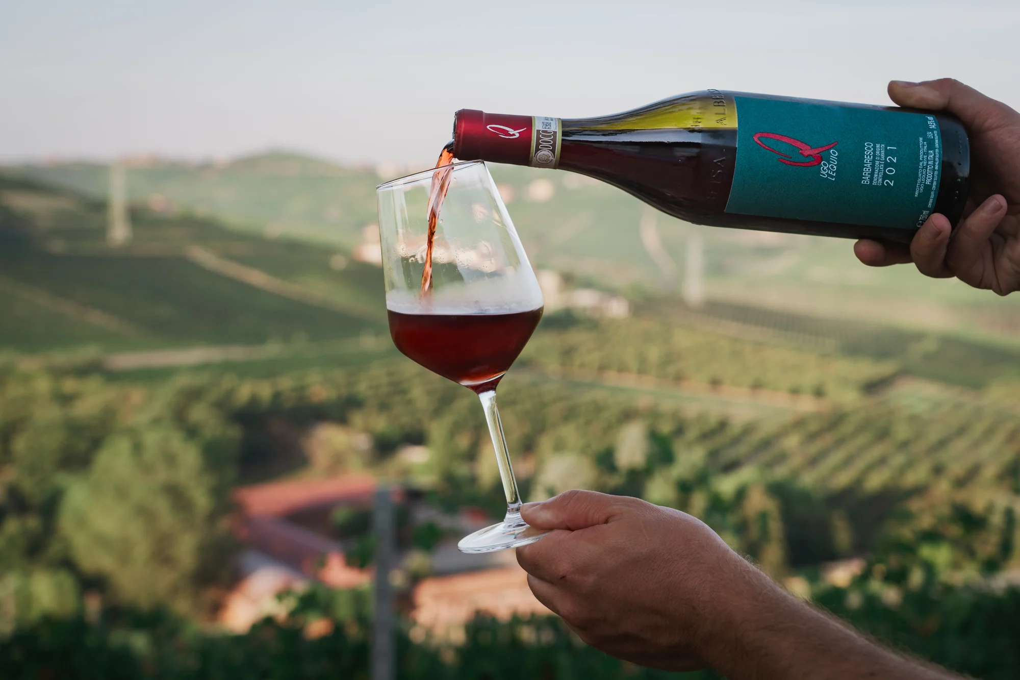Ugo Lequio wines