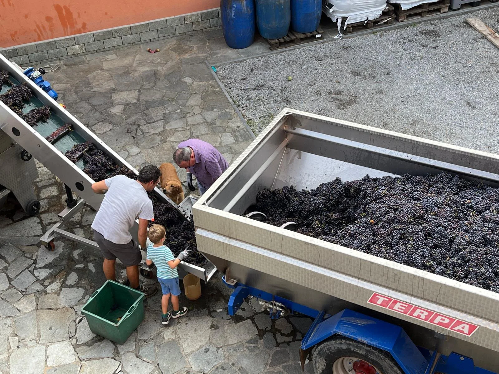 The family destemming the grapes